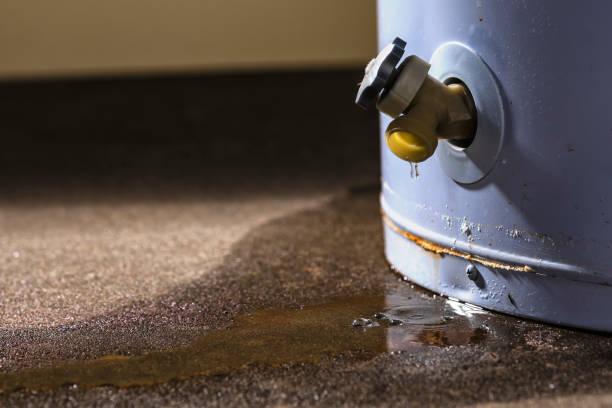 Sewage cleanup and water damage restoration in SC