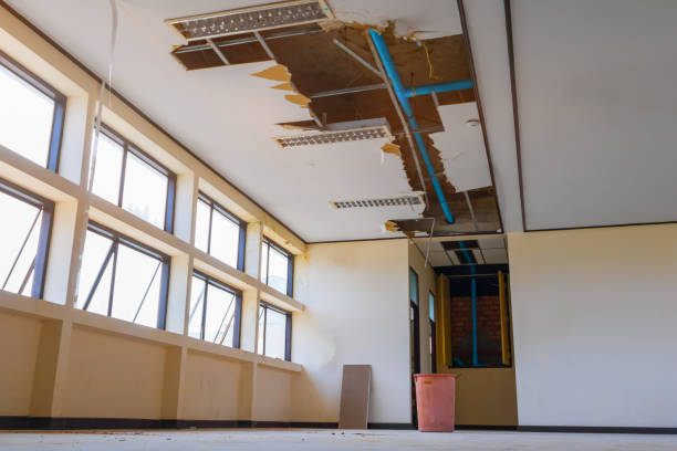 Best Residential water damage restoration  in Lamar, SC
