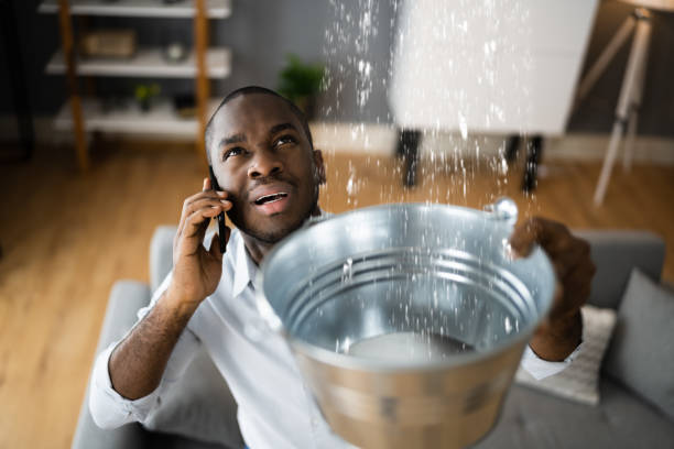 Best Mold removal after water damage  in Lamar, SC