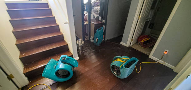 Best Sewage cleanup and water damage restoration  in Lamar, SC