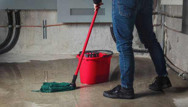 Best Residential water damage restoration  in Lamar, SC