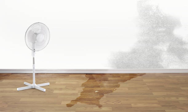 Best Water damage restoration near me  in Lamar, SC