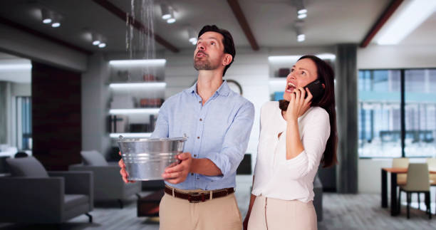 Best Carpet water damage restoration  in Lamar, SC